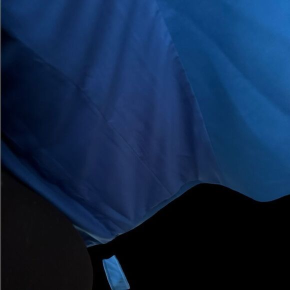 Ann Taylor Vibrant Blue Belted Spring Coat NWOT Lined w Pockets | Size L Petite - Picture 13 of 13